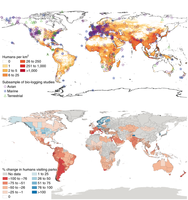 COVID-19 lockdown allows researchers to quantify the effects of human activity on wildlife - Nature Ecology & Evolution