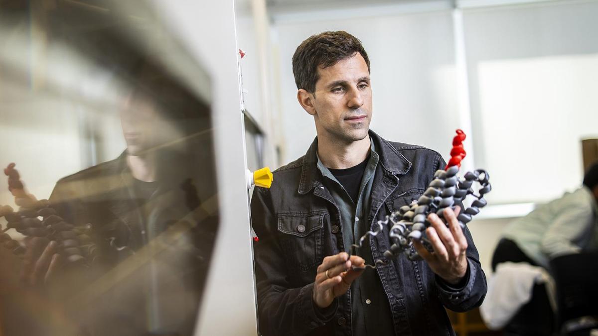 Hallados nuevos antibióticos en animales extintos como el mamut gracias a la IA