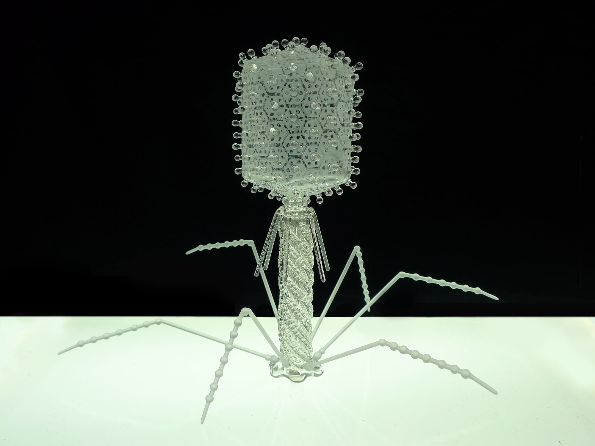 In 'Glass Microbiology,' Sculptures Explore the Science Behind Modeling Viruses and Bacteria — Colossal
