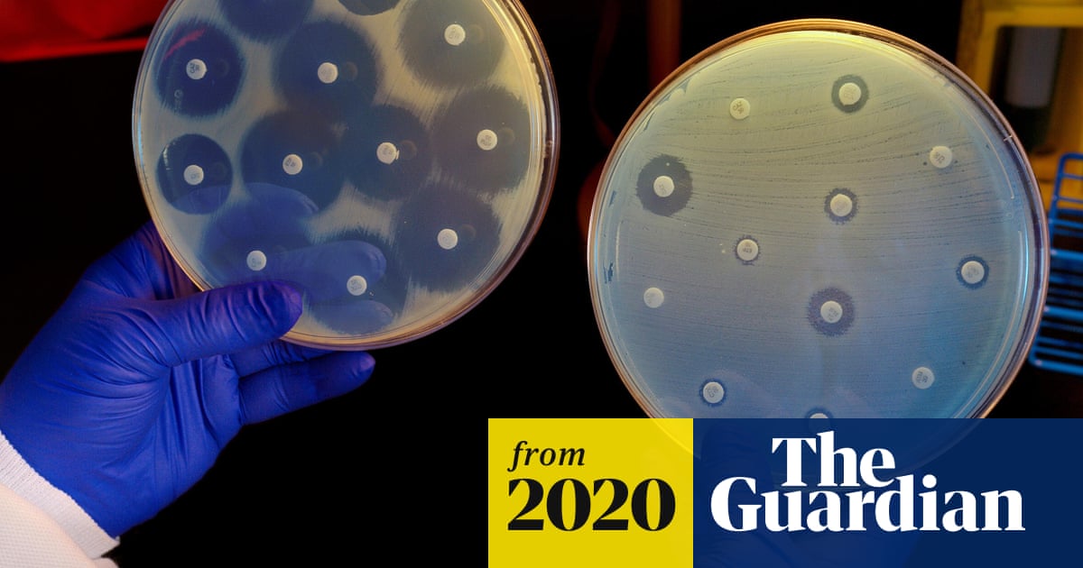 Powerful antibiotic discovered using machine learning for first time