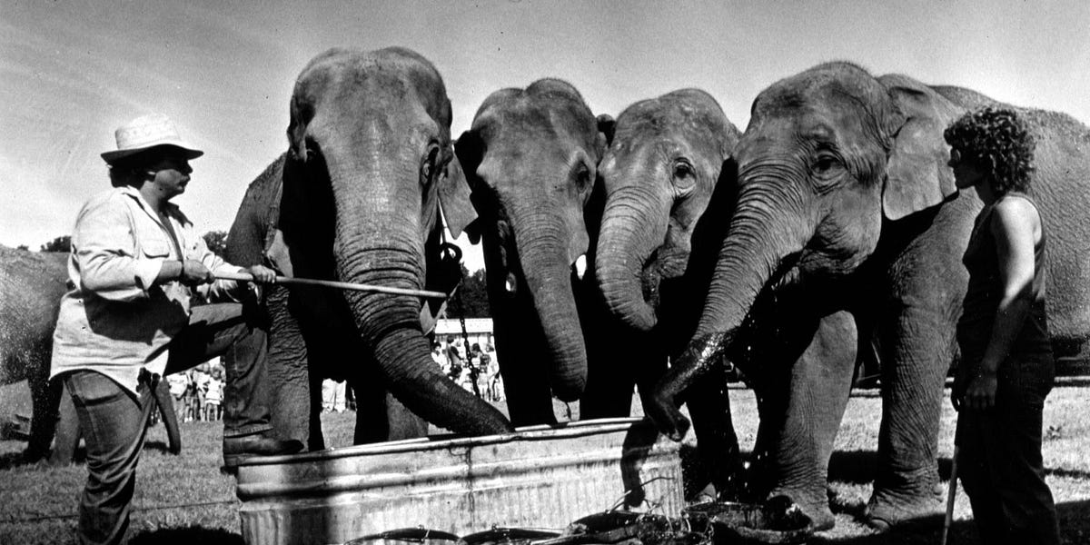 Pop Culture Has Become an Oligopoly