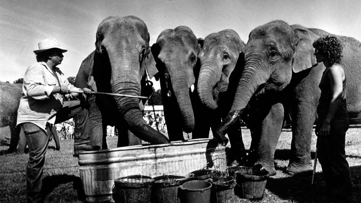 Pop Culture Has Become an Oligopoly