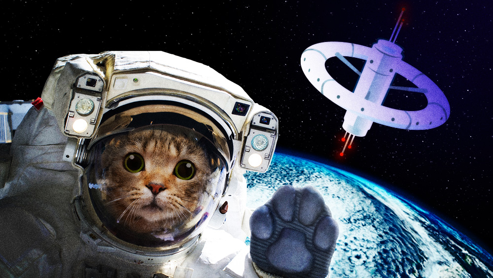 How to keep your sanity when you feel like the world is going crazy