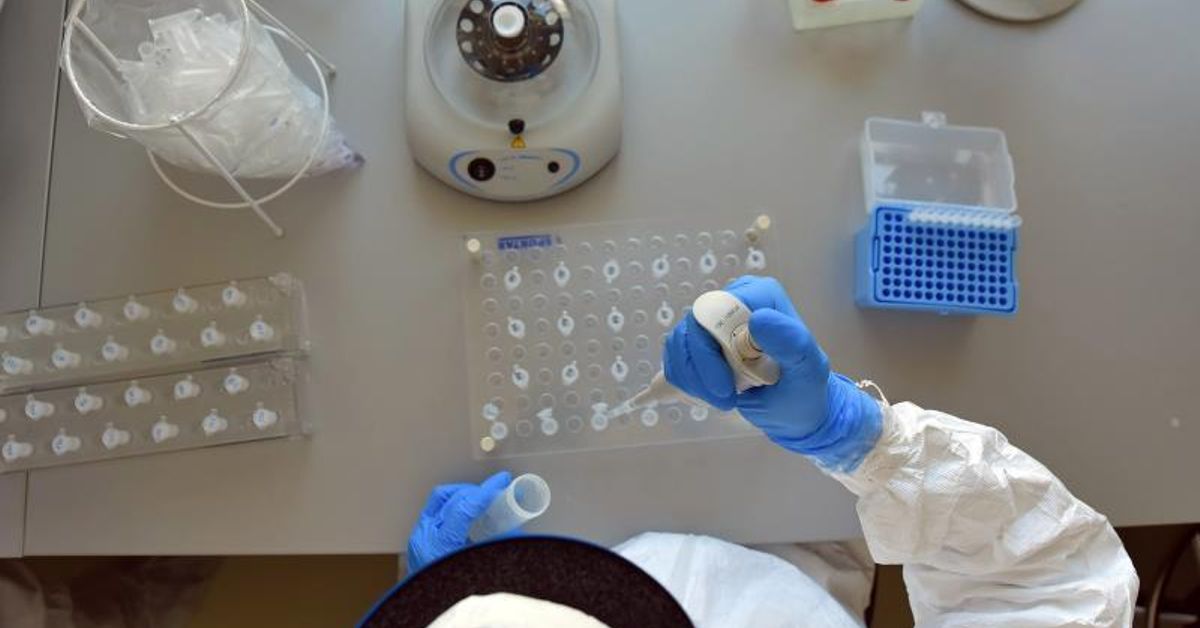 ¿Cómo será la pandemia en 2022?