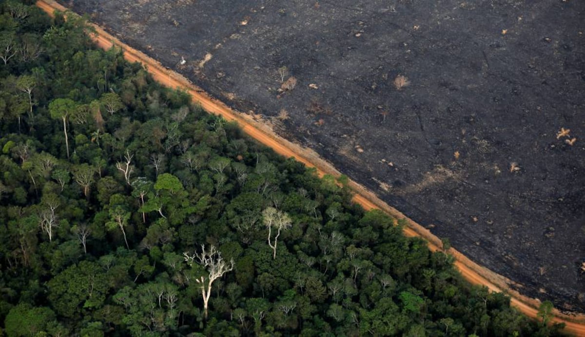 Un estudio sobre biodiversidad advierte de que es imprescindible el decrecimiento económico