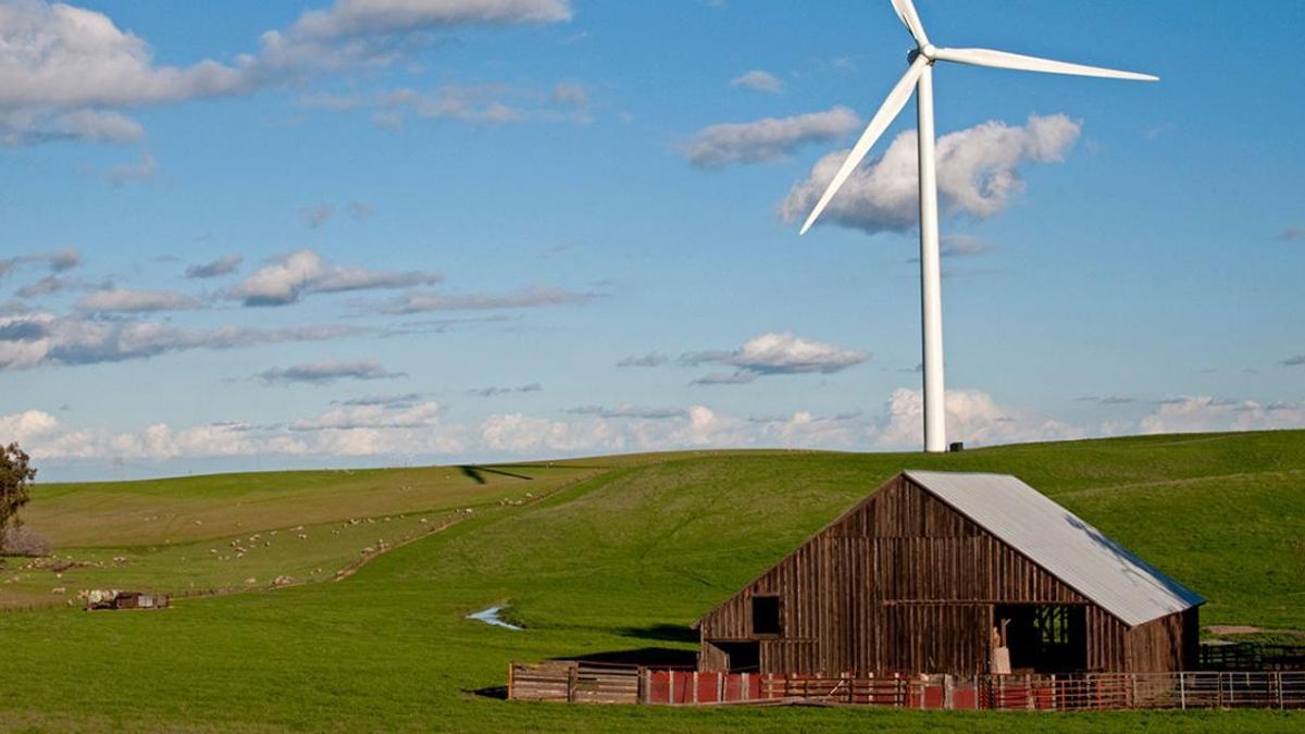 La misteriosa nueva ciudad que la élite de Silicon Valley quiere levantar de la nada