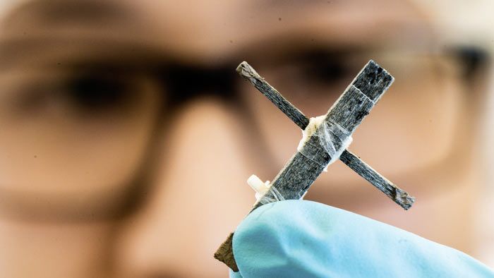 World's First Wood Transistor Chops Out at 1 Hz