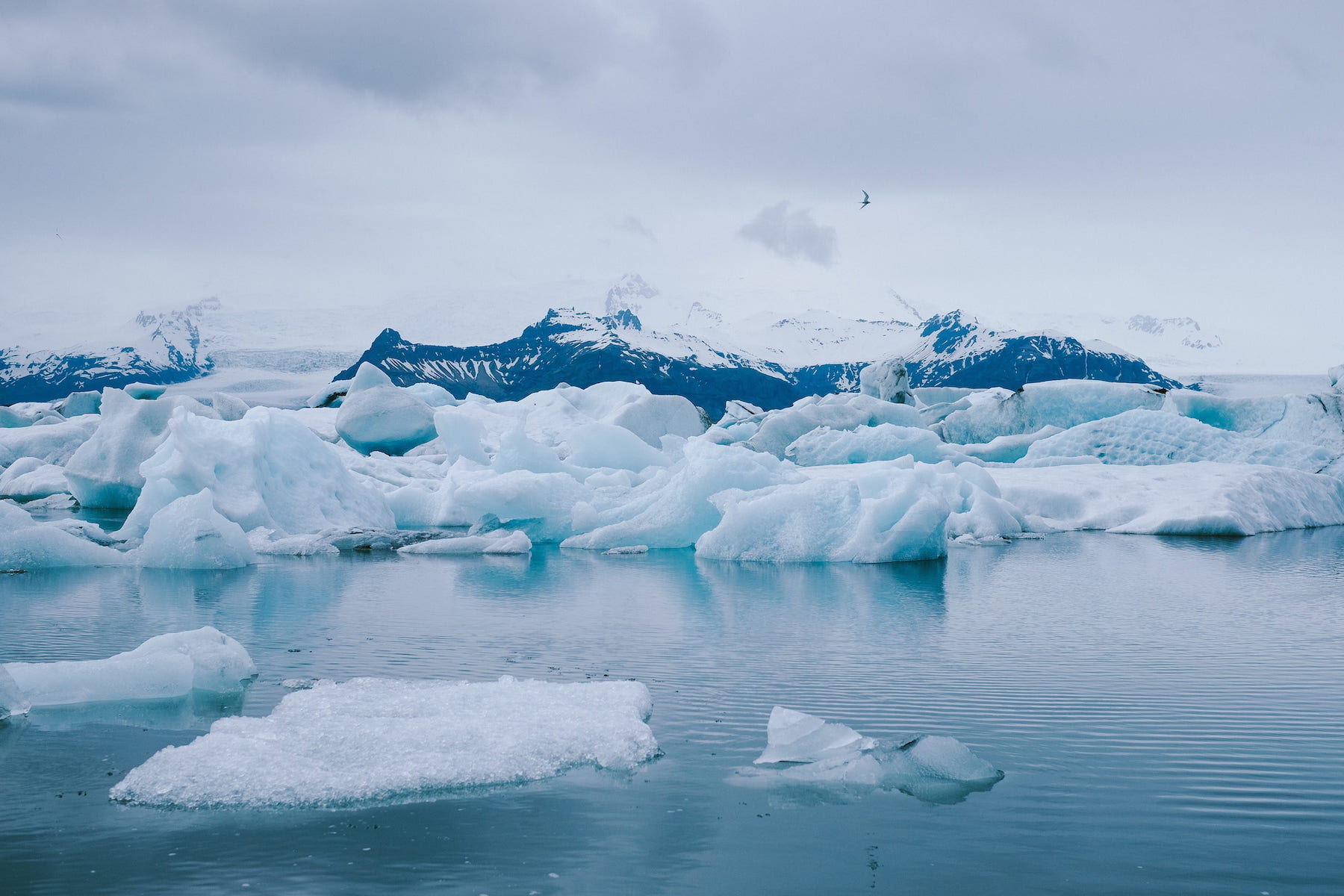 El IPCC advierte de que el capitalismo es insostenible