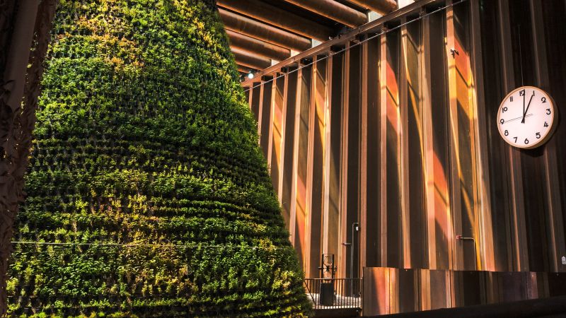 The Netherlands Expo pavilion makes its own water to grow food in the desert | CNN