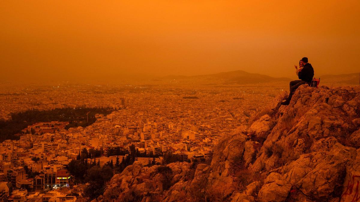 El verano del 2023 fue el más caluroso en el hemisferio en 2000 años, según el análisis de los anillos de los árboles