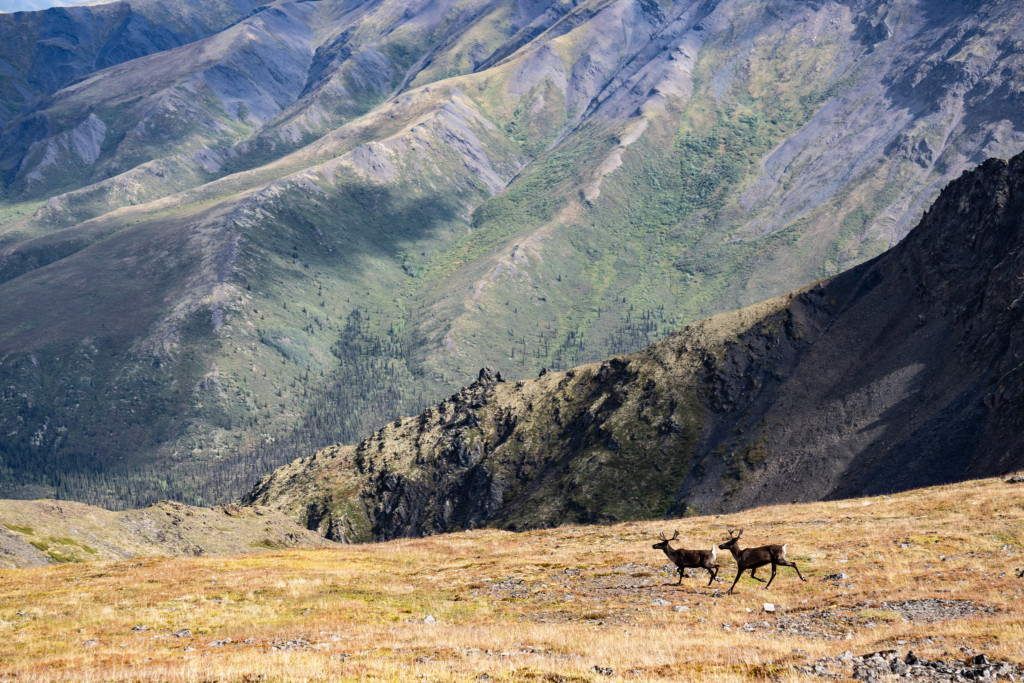 Scientists are sounding the alarm on Canada’s melting permafrost