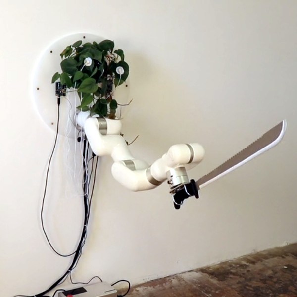 (Mostly) Harmless Houseplant Wields Machete